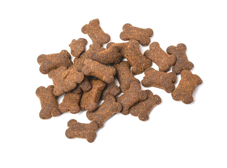 Dry  pet food isolated